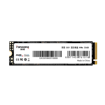 梵想（FANXIANG）256G SSD固态硬盘 M.2接口(NVMe协议) S501系列