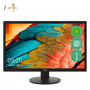 HSO 19.5英寸 节能认证 台式机监控不闪屏幕 办公显示屏 可壁挂 电脑液晶显示器 E201H