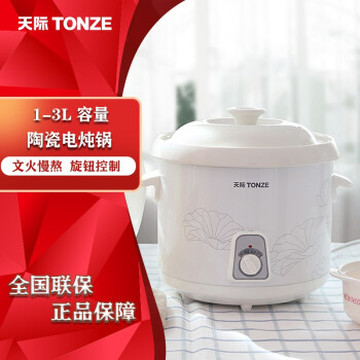 天际（TONZE）慢炖型电炖锅养生煲陶瓷炖锅煮煲汤煮粥锅慢炖锅适合2-3人 DDG-20N(2升)
