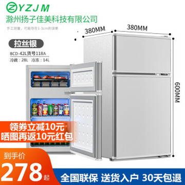 扬佳（YZJM）冰箱双门小型冷冻冷藏迷你家用冰箱双开门宿舍租房静音节能 BCD-42L银【118A货号】