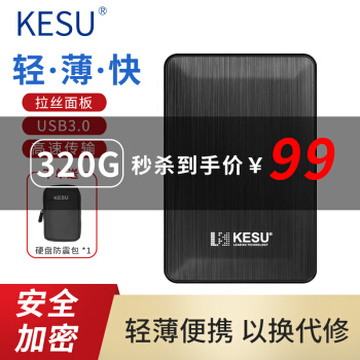 科硕（KESU）移动硬盘加密1t/500g/2t/3t/4t/5t USB3.0高速存储 320G+硬盘防震包  黑色